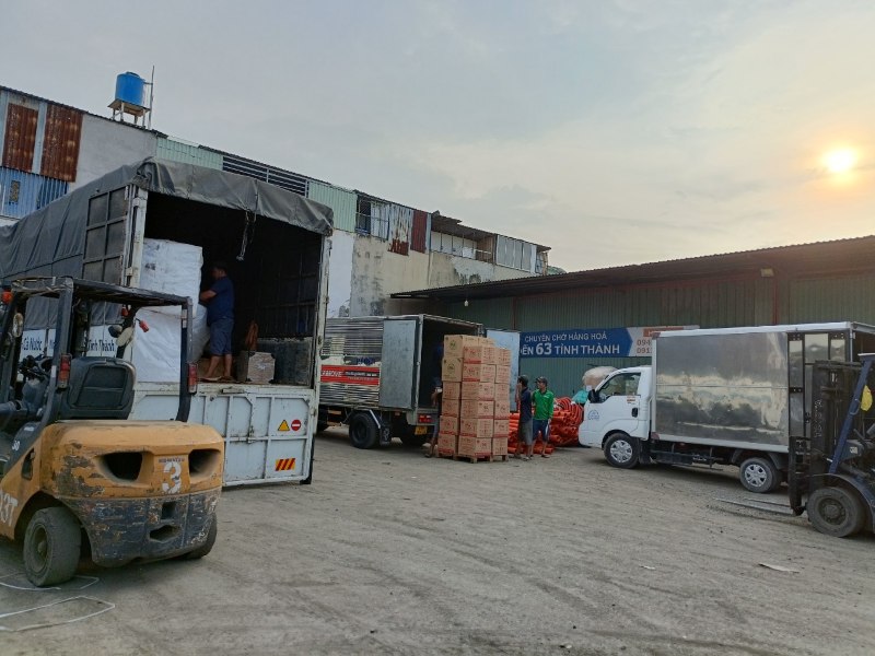 Palm Logistic Việt Nam